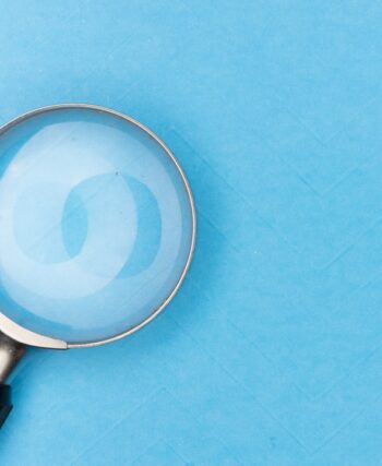 professional seo services