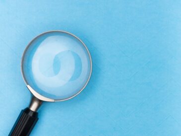professional seo services