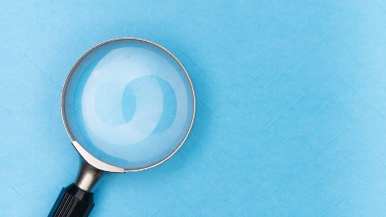 professional seo services