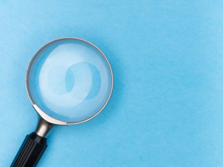 professional seo services
